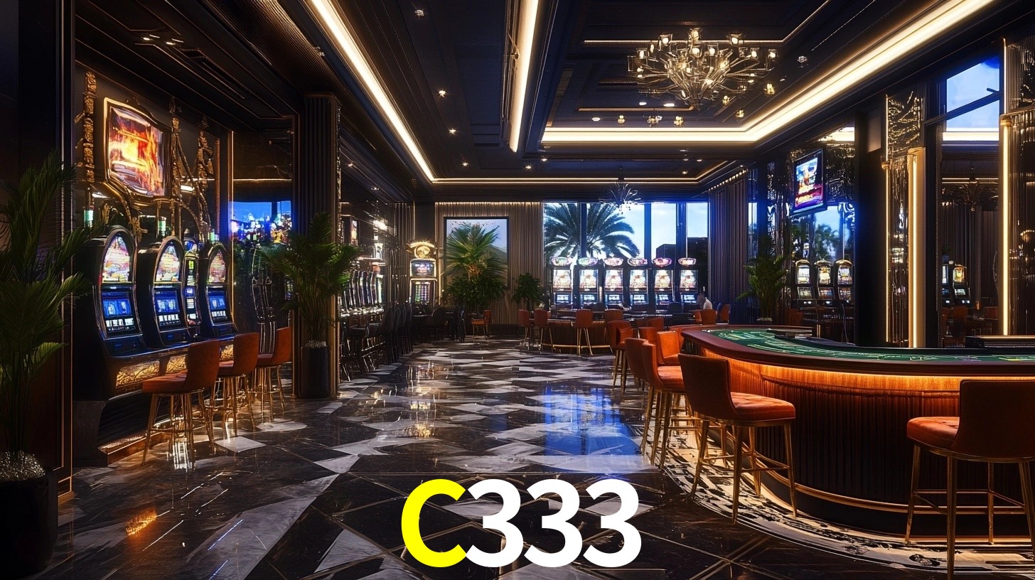 C333 App Interface