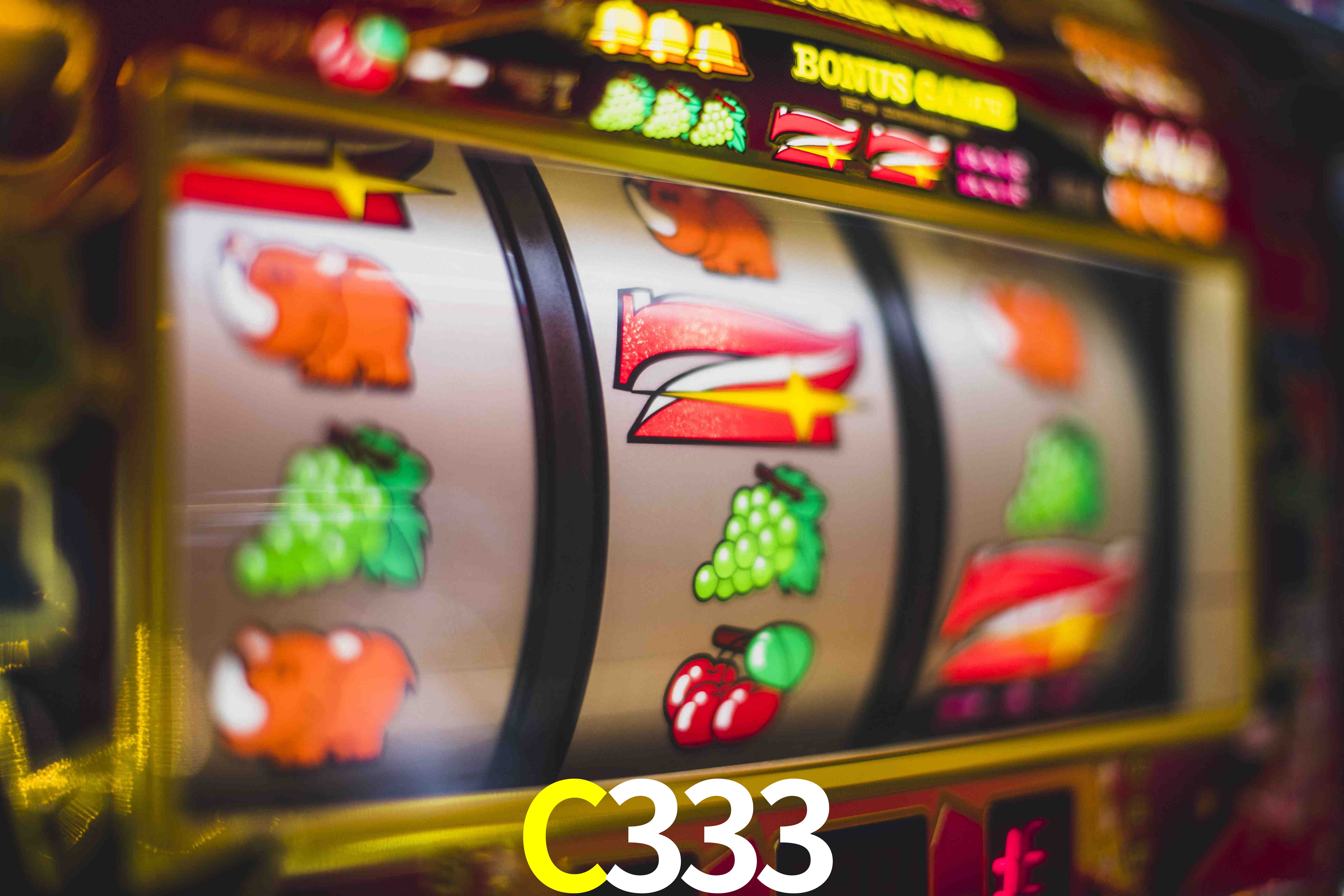 Sports Statistics C333